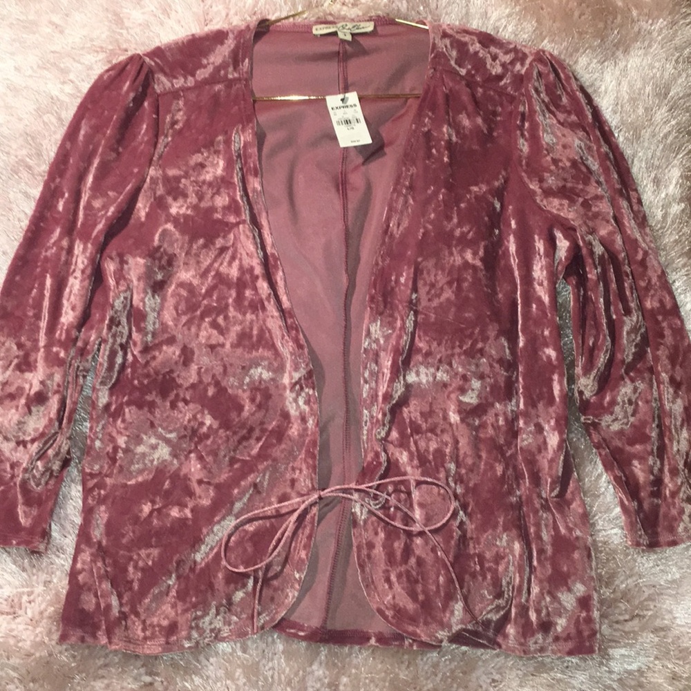 Express—Pink Crushed Velvet Sweater